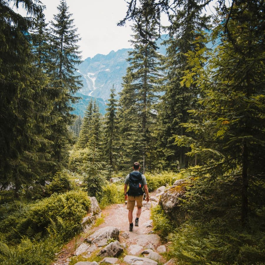 A hiker walks along a rocky trail through a lush forest, with mountains in the background.